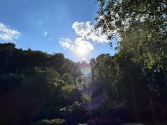 -莫里热带雨林景区