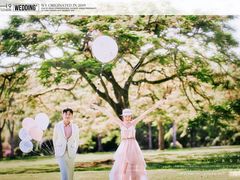 -经典婚纱摄影美学馆·私人定制