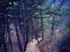 -京东石林峡风景区