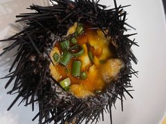 海胆蒸蛋-海岛渔村大酒店(云霄路店)