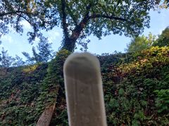-南京城墙景区