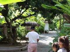 -大象粑粑造纸公园