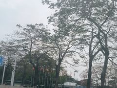 -东莞植物园