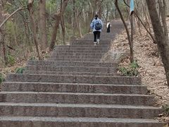 -紫金山天文台