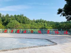 -大亚湾红树林城市湿地公园