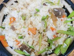 -煲来饱去冷水鱼