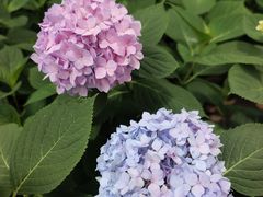 -常州古运河南大街文化旅游区-人民公园