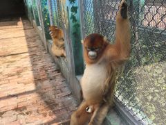 -西安秦岭野生动物园