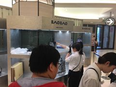 -三宅一生 (阪急梅田本店)