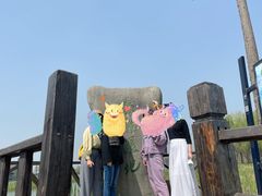 -溱湖国家湿地公园