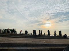 -宝安西湾红树林湿地公园