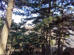 -北京鹫峰国家森林公园