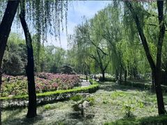 -洛阳市隋唐城遗址植物园