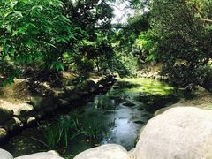 景点-花溪公园