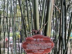 -个园