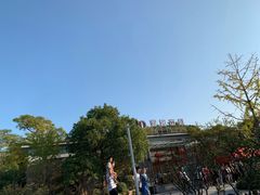 -巢湖姥山岛