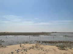 -亿利库布其七星湖沙漠生态旅游区