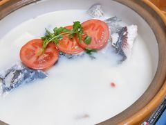 -全乐鱼馆·淳牌有机鱼直营店