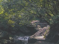 -宁波五龙潭景区