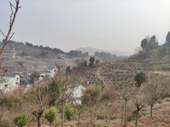 -叁山与肆客服号民宿(龙泉阳光城百工堰公园店)