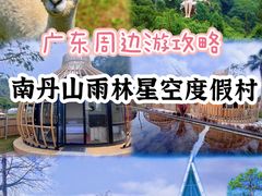 -南丹山森林王国