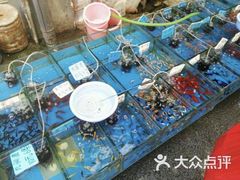 -清平路水族市场