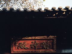 -灵谷景区