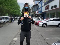 -土桥手掌鸡·26年灌县老味道(都江堰店)
