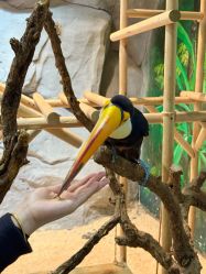 -Zoolung Zoolung动物主题公园(海信广场店)