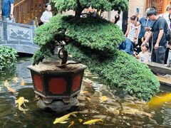 -唐山宴百姓府邸院落中餐