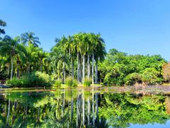 -中国科学院西双版纳热带植物园