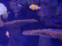 -沈阳海洋探索中心