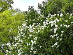 -少华山国家森林公园