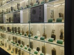 -广东中医药博物馆