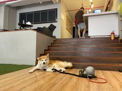 -YCHL Studios健身工作室(市二宫店)
