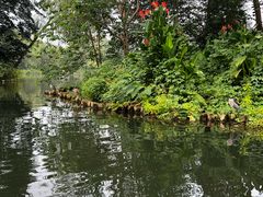 -西湖外事游船(花港观鱼码头)