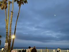 -Water Grill(圣莫妮卡店)