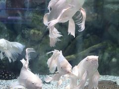 -正佳极地海洋世界