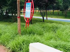-金梦海湾浴场