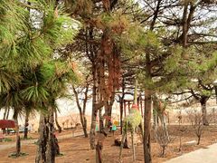 -巴音谷休闲度假山庄