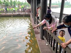 -枫香湖儿童公园