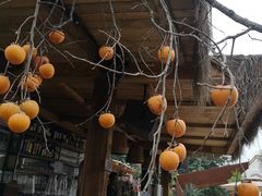 -悦哉·派对·草坪婚礼·围炉煮茶(三圣乡店)