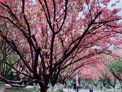 -苏州河梦清园环保主题公园