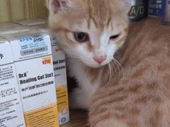 -中农大我爱我爱动物医院·核磁CT·猫病·24小时夜诊中心(石佛营店)