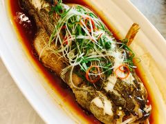 清蒸笋壳鱼-新光酒家·河豚·海鲜·蟹料理(浦东店)