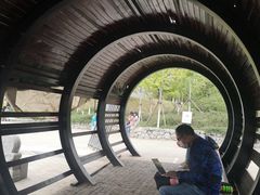 -永定河休闲森林公园