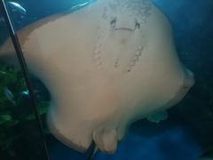 -福州罗源湾海洋世界旅游区