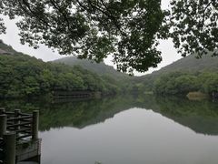 -白马涧龙池景区