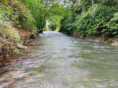 -天目湖松岭竹海漂流