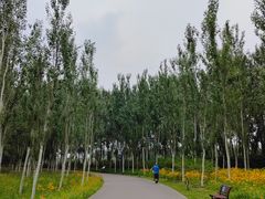 -东郊湿地公园